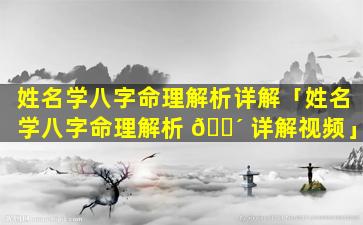 姓名学八字命理解析详解「姓名学八字命理解析 🐴 详解视频」